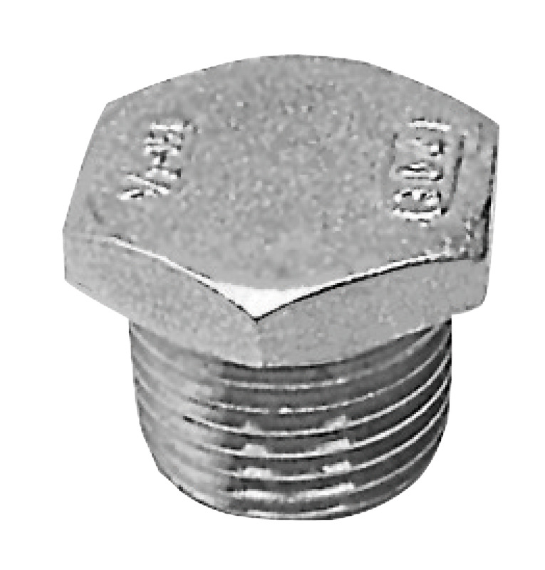 SS pipe cap 1"