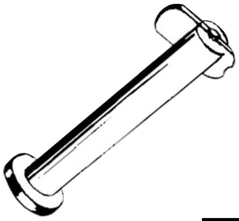 SS drop nose pin 6 x 25mm