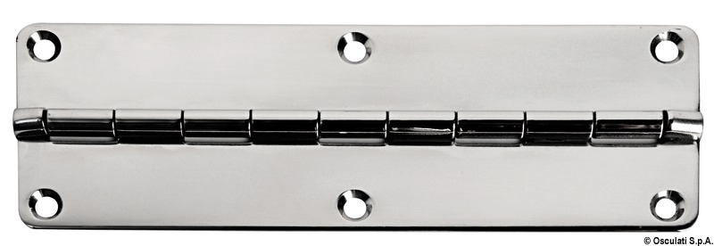 Hinge 50 x 150 mm