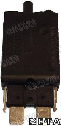 thermal fusible switch 8a
