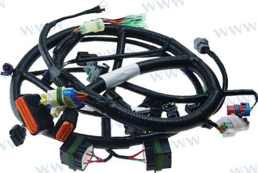 wiring harness, ecu control2022 aecs new, F60-05000900-B