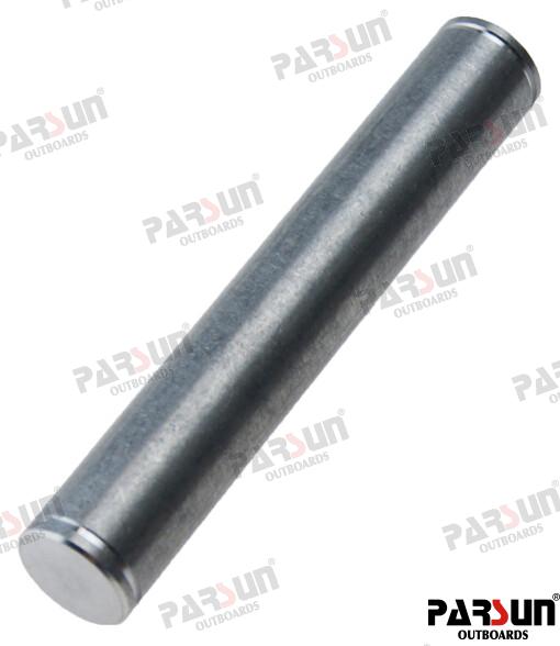 Fixing pin
