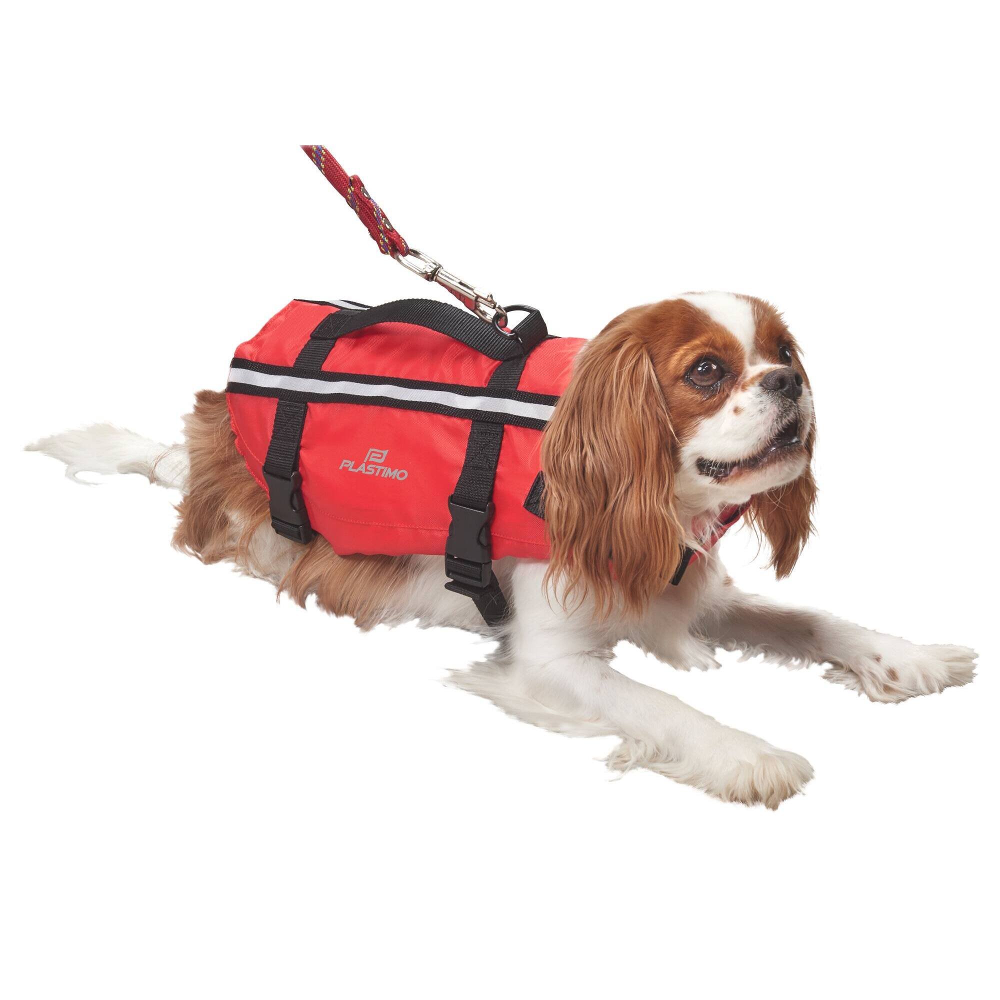 Life jacket for dogs - M Plastimo