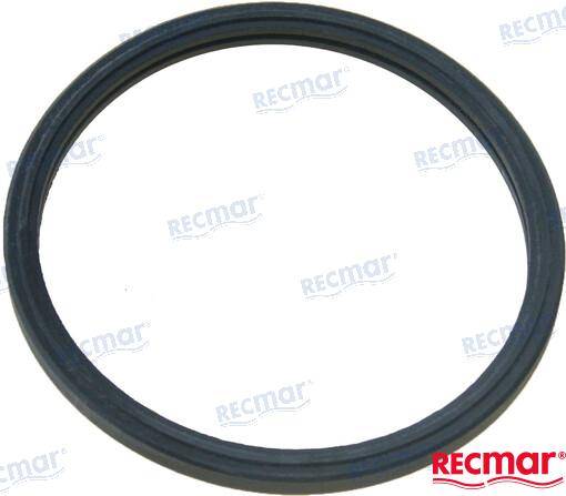 thermostat gasket
