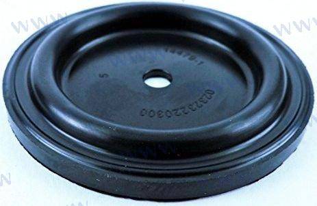 diaphragm