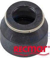 shift shaft seal