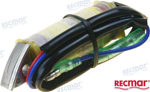 Charger coil for mercury